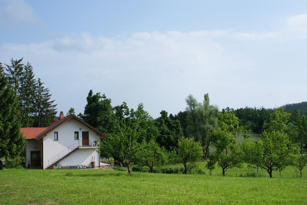 Apartments Leni Postojna Dış mekan fotoğraf